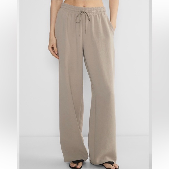 Aritzia Pants - Aritzia Wilfred Thesis Pants